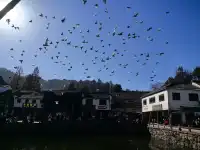 靜心之旅～九華山