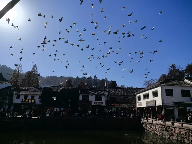 靜心之旅～九華山