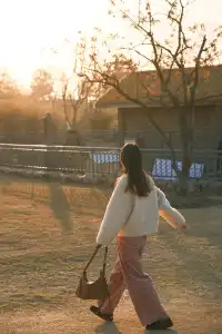 上海辰山植物園|去過超十次,還是想去!