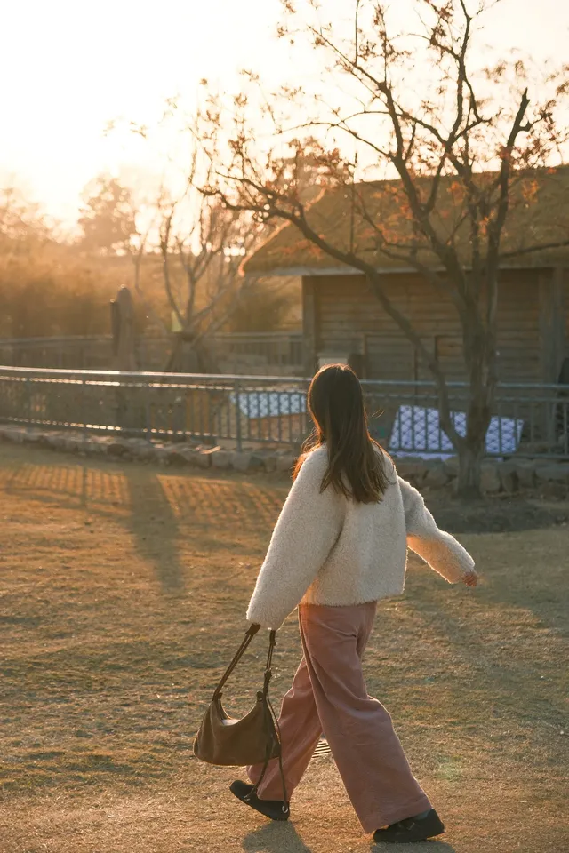 上海辰山植物園|去過超十次,還是想去! 上海辰山植物園|去過超十次,還是想去!