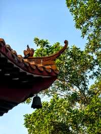 深圳紅花山必打卡古塔