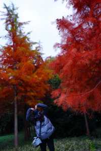 上海|又給大家找到一個拍照好去處絕對出片