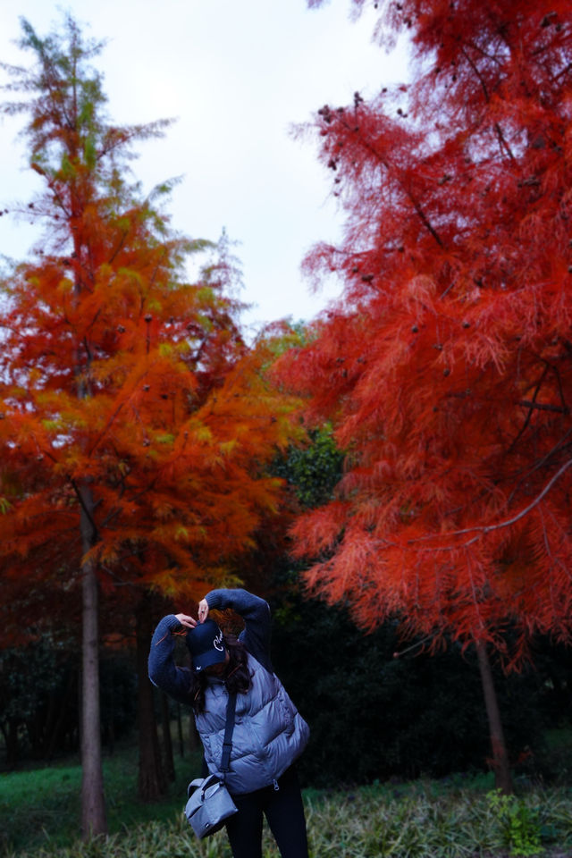 上海|又給大家找到一個拍照好去處絕對出片 上海|又給大家找到一個拍照好去處絕對出片