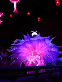 冬日張家界攻略/3天2晚玩轉水墨畫卷!