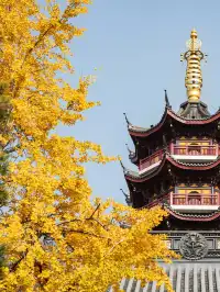 南京2天1晚 丨超詳細賞秋寶藏路線