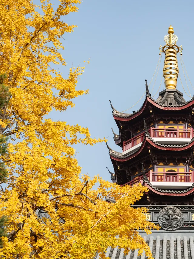 南京2天1晚 丨超詳細賞秋寶藏路線