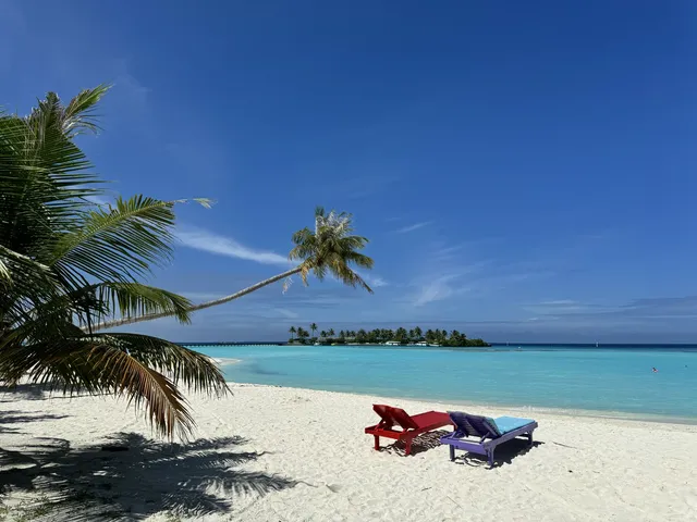 馬爾代夫太陽島管家好棒! 馬爾代夫太陽島管家好棒!