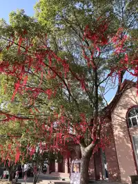 千島湖中心湖區攻略｜帶娃免門票遊湖！