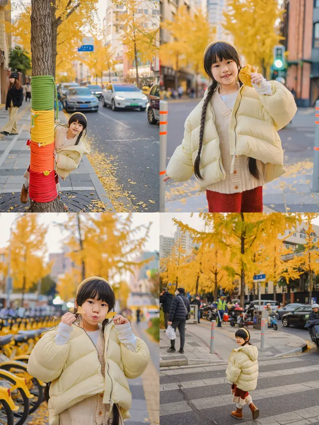 12.5實拍局門路的銀杏黃了!! 12.5實拍局門路的銀杏黃了!!