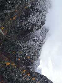 川西秘境·姑弄村|闖進宮崎駿的雪山漫畫裡啦!!