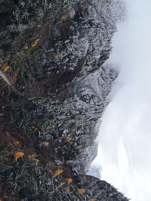 川西秘境·姑弄村|闖進宮崎駿的雪山漫畫裡啦!! 川西秘境·姑弄村|闖進宮崎駿的雪山漫畫裡啦!!