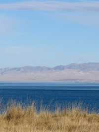 冰封青海湖:藏著藍冰與天鵝的冬日祕境