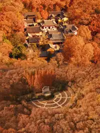 中山陵拍照機位