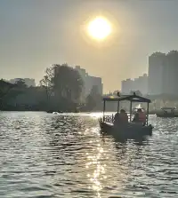 西安興慶宮｜在皇家園林裡接住最後一捧銀杏