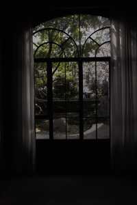 隱居武康路的秋日時光