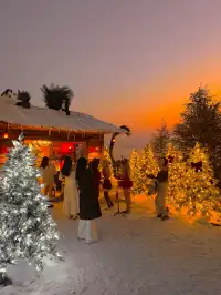 預計會是珠海下一個爆火打卡點