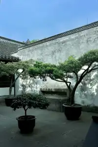 去迅哥家,從進門開始就一直在出片