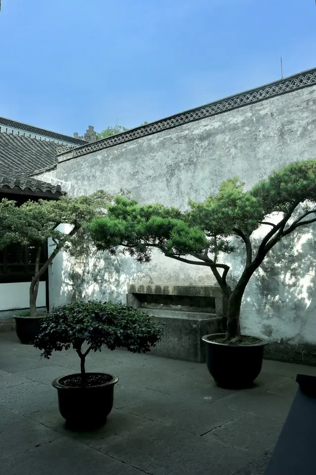 去迅哥家,從進門開始就一直在出片 去迅哥家,從進門開始就一直在出片