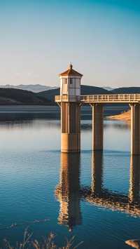 祁連山野花醉美季