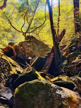 สายเบ็ดตกปลาภูเขาหลัวฟู่! คู่มือสำหรับมือใหม่หัดวาดปลา 7.5 ชั่วโมง