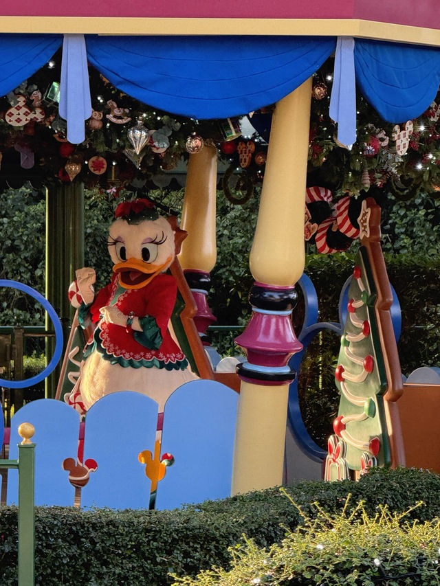 今冬必打卡!港迪的聖誕童話美到犯規~ 今冬必打卡!港迪的聖誕童話美到犯規~