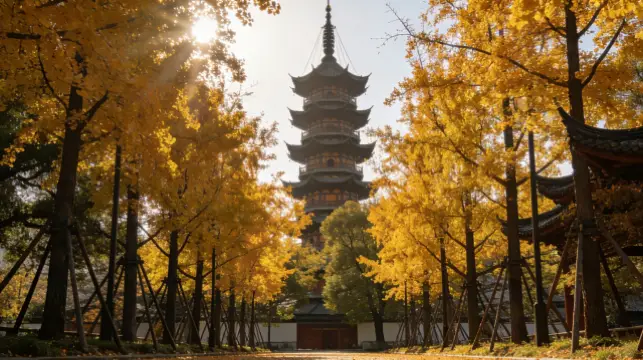 A must-chase in late autumn in Shanghai! The golden corridor of Longhua Temple is stunningly beautiful
