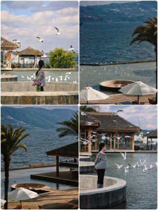 Experience at Kunming Bailian Hotel: A Healing Vacation with Lake Views and Seagulls