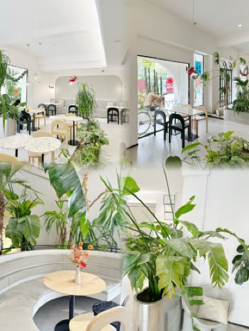 OMG! This French-style boutique hotel in Kunming is so photogenic!