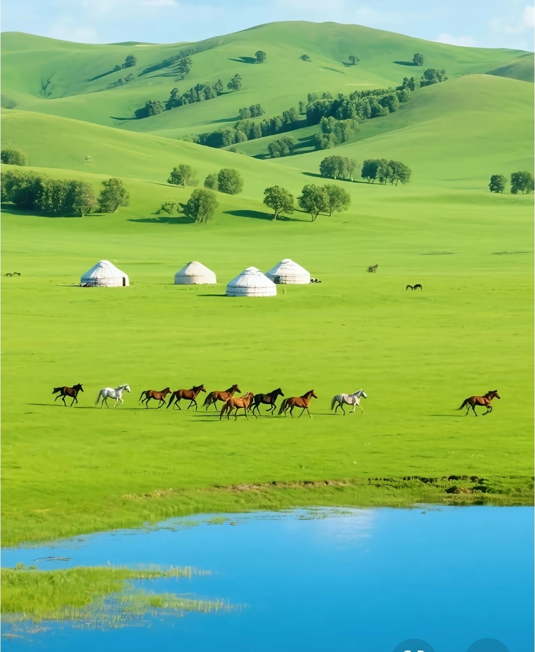 The season has arrived, go see this picturesque grassland like an oil painting