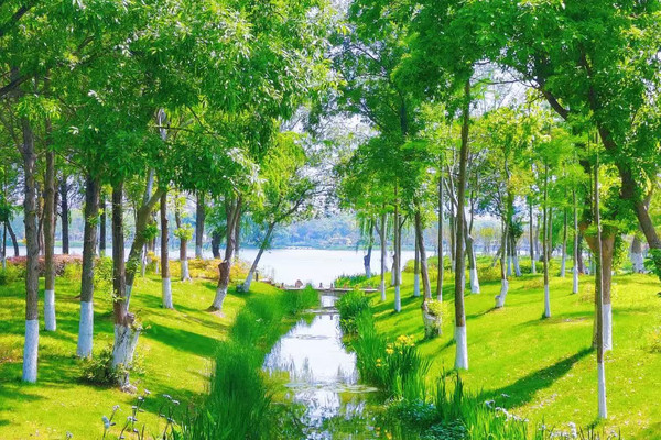 芜湖の春、美しすぎる！！ | Trip.com 蕪湖