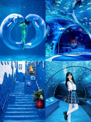 Going to Harbin on Children's Day? This guide will save you half the time