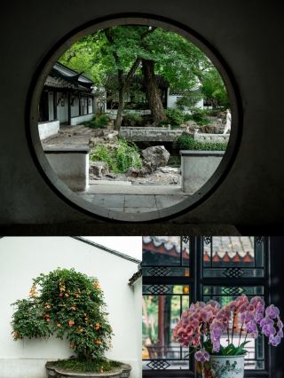 조정원의 25℃ 여름에 숨다|한 번은 강남의 옛날을 체험하다