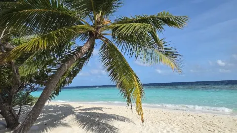 A Perfect Retreat for Peace and Relaxation — traveler post in Bathalaa