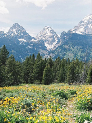Beat the summer rush and take your parents to Yellowstone｜Depart from Salt Lake City! Stay inside the park