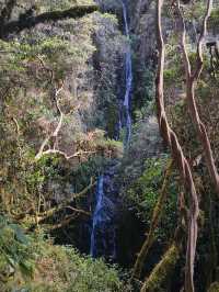 Unforgettable Inca Adventure with Exceptional Team