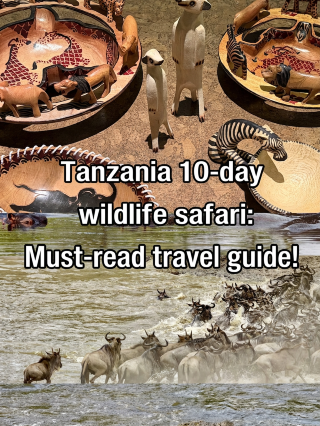Quick guide to your 10-day Tanzania trip