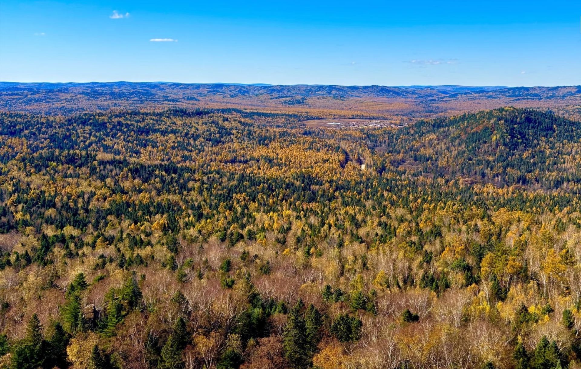 Autumn has arrived, and I'm starting to miss the autumn in the Lesser Khingan Mountains