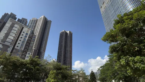Nina Park: Explore a Hidden Fossil Oasis in Tsuen Wan with 5.3 Million-Year-Old Wonders — traveler post in Wonosari