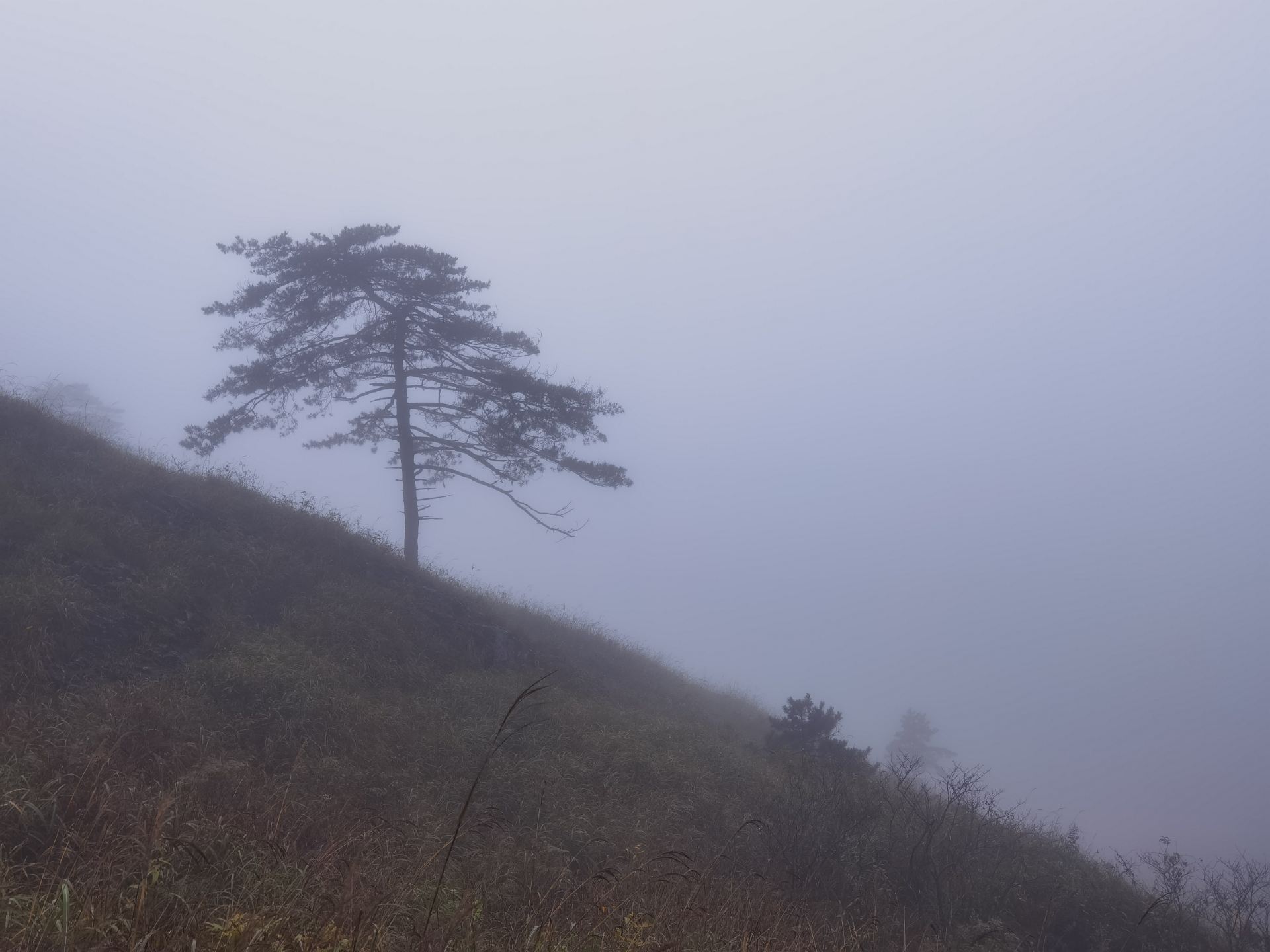 무공산 구름 속 산책, 장시성 최고의 비밀 명소 체크인 가이드