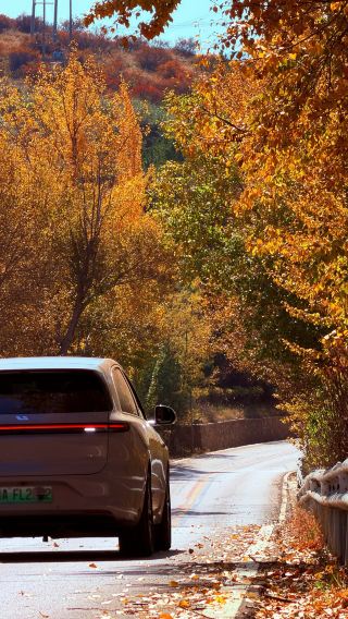 Autumn at Luya Mountain: The ultimate 1–2 day guide to the fiery red forests
