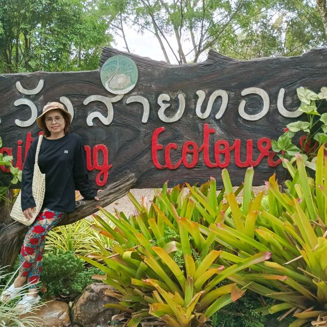 วังสายทอง  อ.มะนัง  จ.สตูล