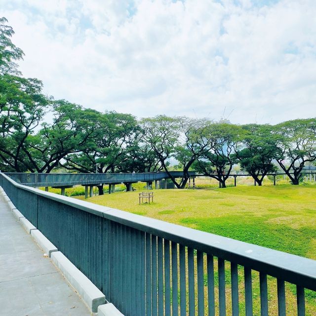 ขับรถไปสวนเบญจกิติ