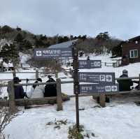 겨울 제주여행의 꽃, 한라산 등반!