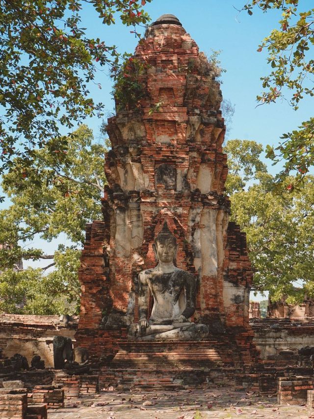 วัดมหาธาตุ จ. อยุธยา 