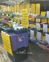 ตลาดริมโขง ดูของป่าจากฝั่งลาว ที่นครพนม 