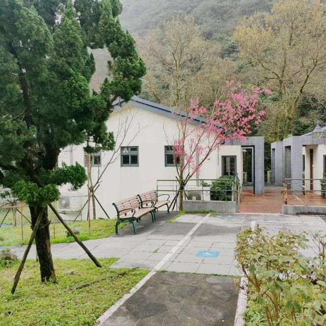 隱身在山中的消防隊 隱身在山中的消防隊
