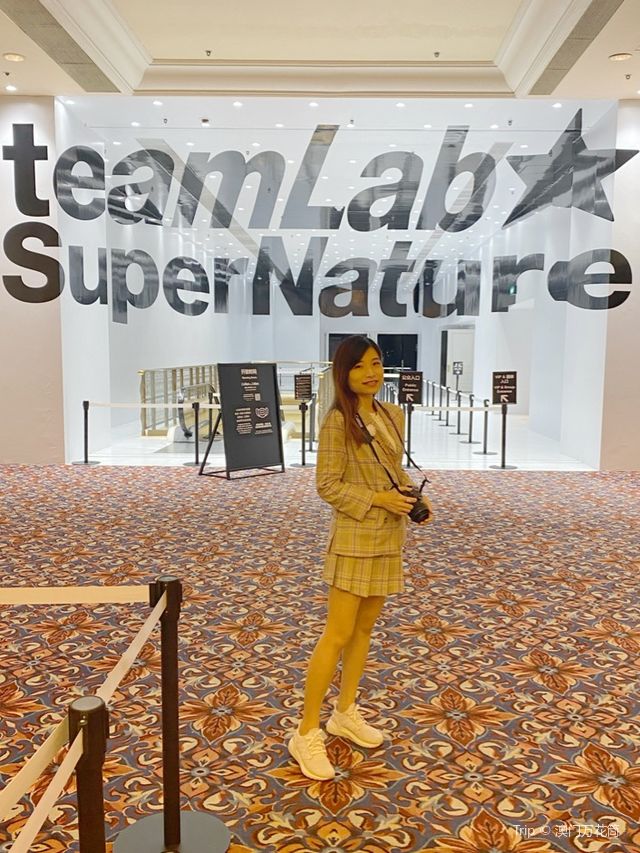 潮玩澳門TeamLab超自然空間