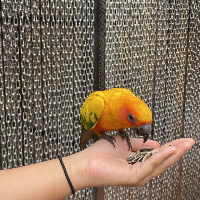 BONANZA EXOTIC ZOO มาดูกันว่าเด็ก ๆ จอยแค่ไหน ✨