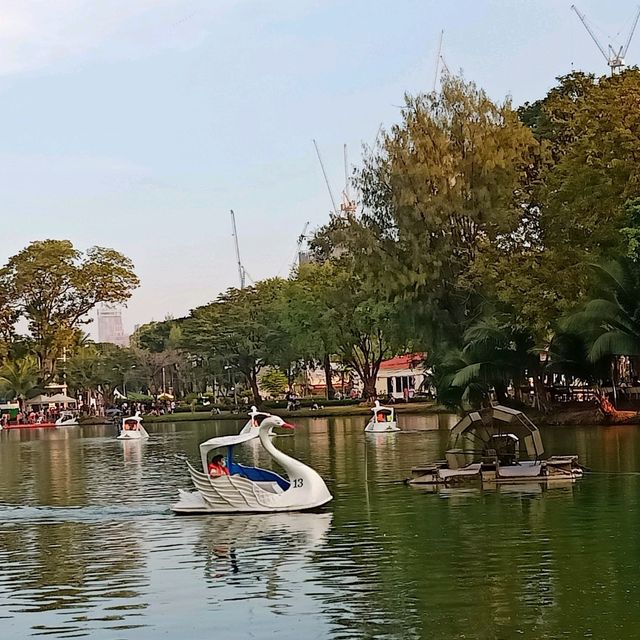 เดินชิวเที่ยวสวนลุมพินี สวนสวยกลางกรุง