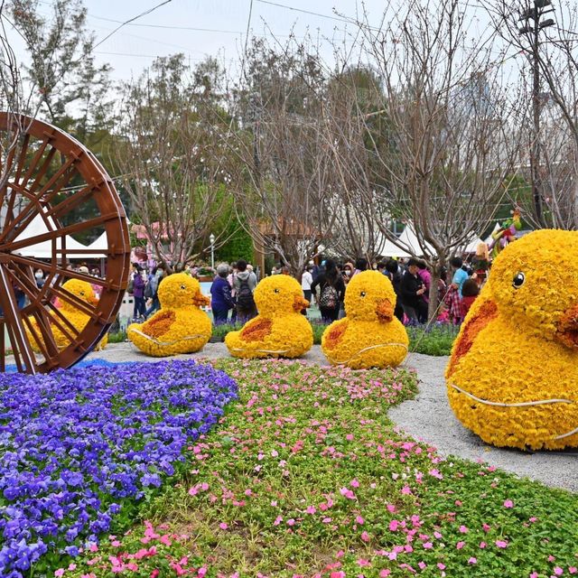 香港花卉展覽2023又返嚟啦👏🏻👏🏻👏🏻